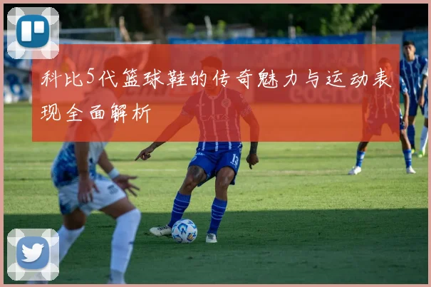 科比5代篮球鞋的传奇魅力与运动表现全面解析