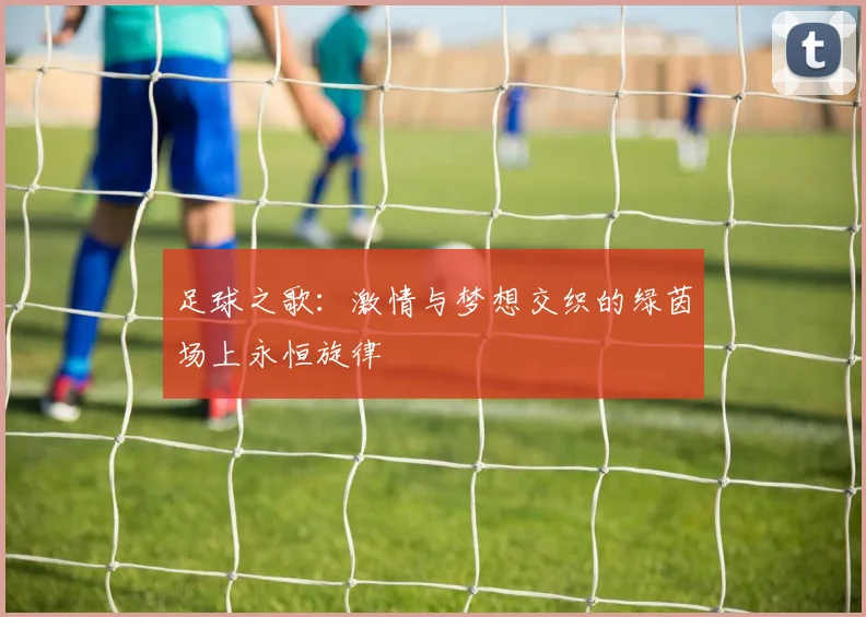 足球之歌：激情与梦想交织的绿茵场上永恒旋律